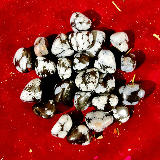 Rodado Obsidiana Nevada – Protección, Claridad y Equilibrio Energético