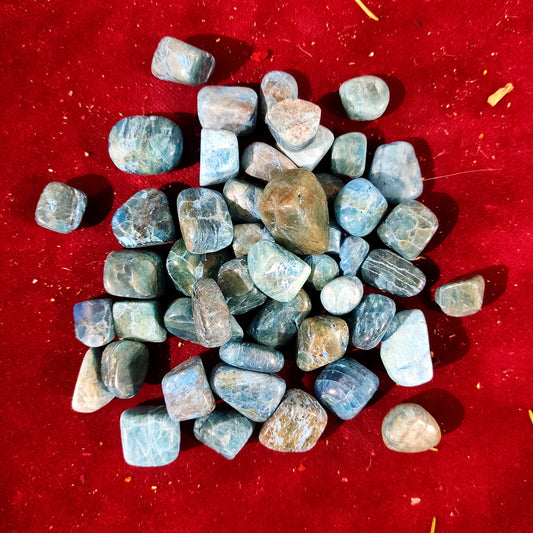 Rodado Apatito - claridad, motivación, comunicación