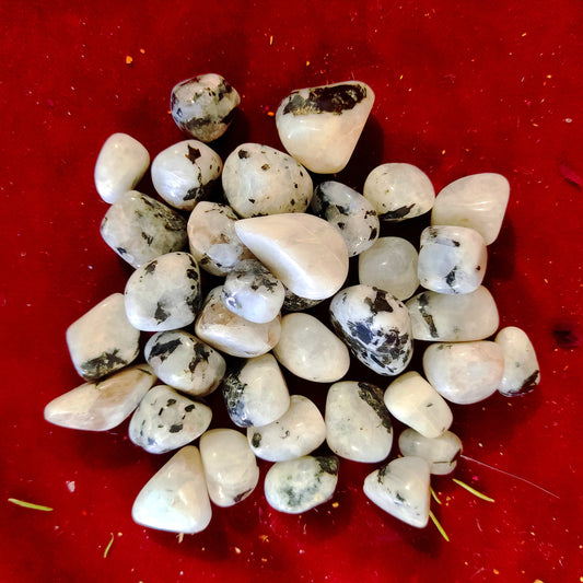 Rodado Piedra Luna – Equilibrio, Intuición y Energía Femenina