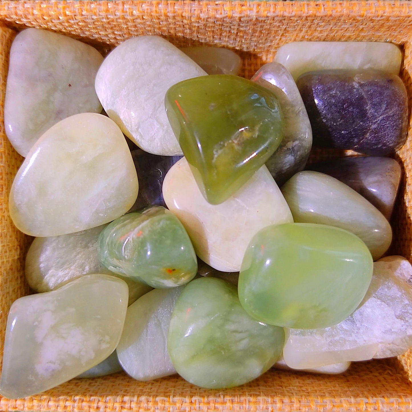 Rodado Jade