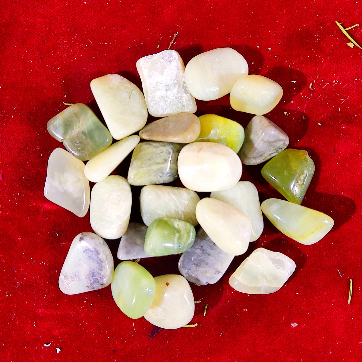 Rodado Jade