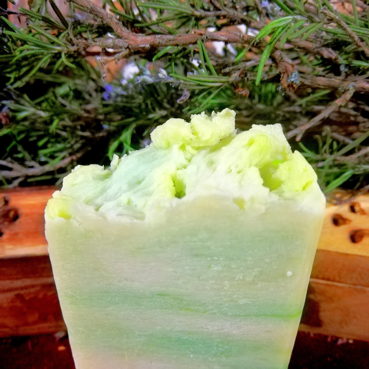 Jabón Aloe Vera Hidratante y Regenerador