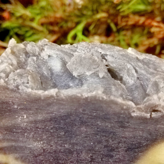 Jabón Lodos Marinos Piel Grasa y Desintoxicante