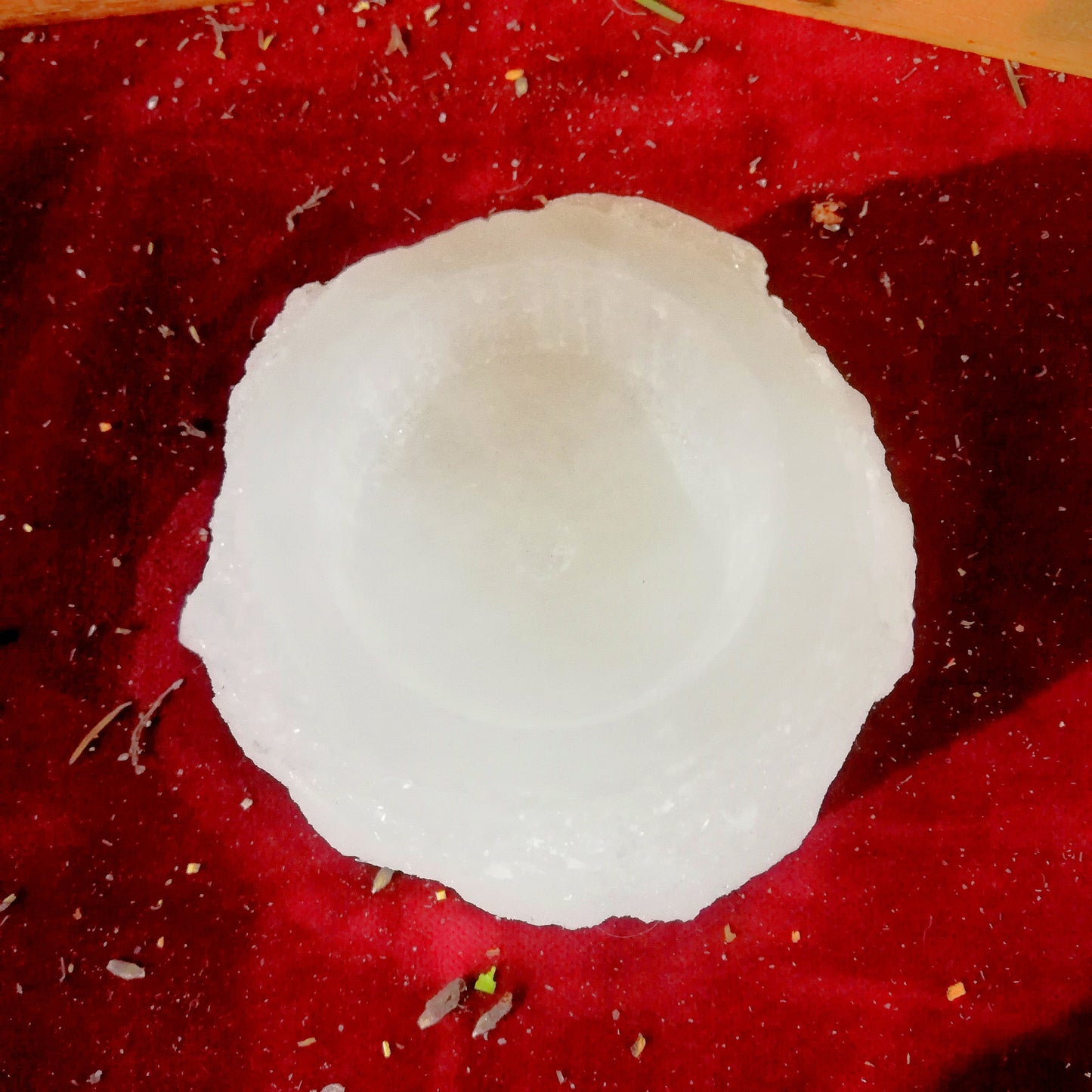 Portavela Selenita