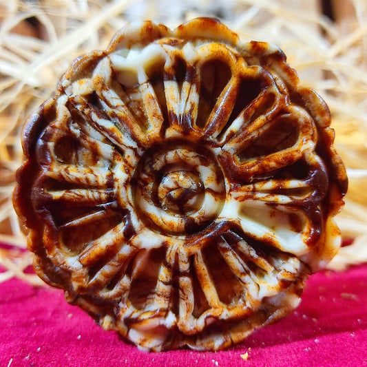 Champú Sólido Cabello Seco