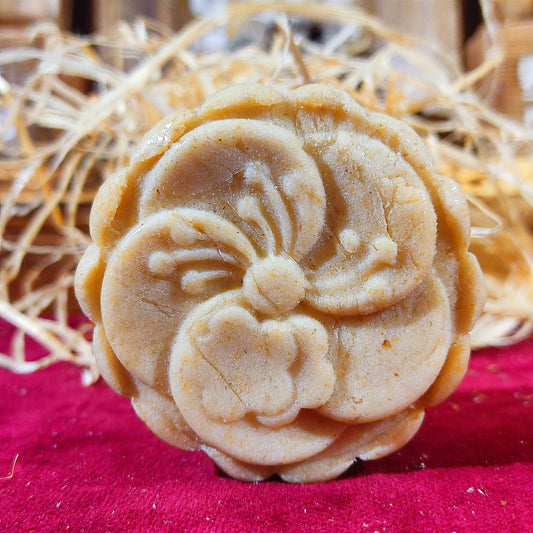 Champú Sólido Cabello Normal