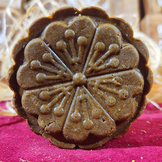 Champú Sólido Cabellos Castigados