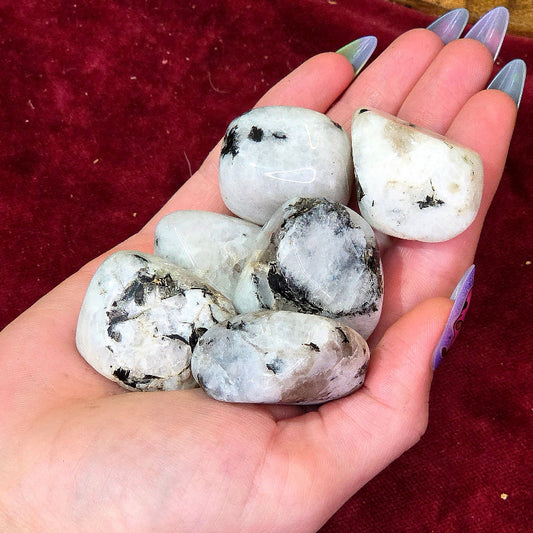 Rodado Piedra Luna – Equilibrio, Intuición y Energía Femenina