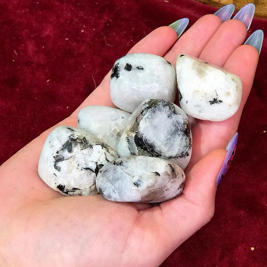 Encuentra la claridad emocional con nuestro Rodado de Piedra Luna Natural. Con sus tonos iridiscentes y su suave energía reconfortante, es el amuleto perfecto para fomentar la intuición, el equilibrio y la conexión con la energía femenina a lo largo del tiempo.