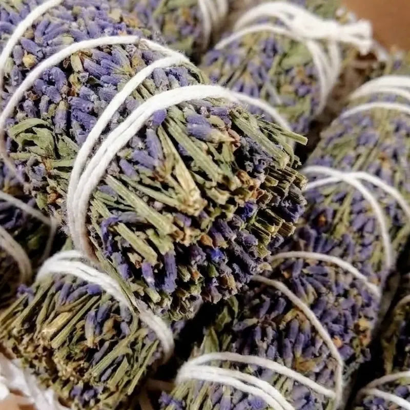 El aroma de Lavanda es el bálsamo de paz por excelencia para el cuerpo, la mente y el espíritu. Con sus notas florales, frescas y limpias, esta esencia es mundialmente reconocida por su capacidad para disolver la tensión en cuestión de segundos. Es el aliado perfecto para transformar tu hogar en un oasis de serenidad absoluta, descargando las malas vibraciones cotidianas y restaurando el equilibrio donde más lo necesitas.