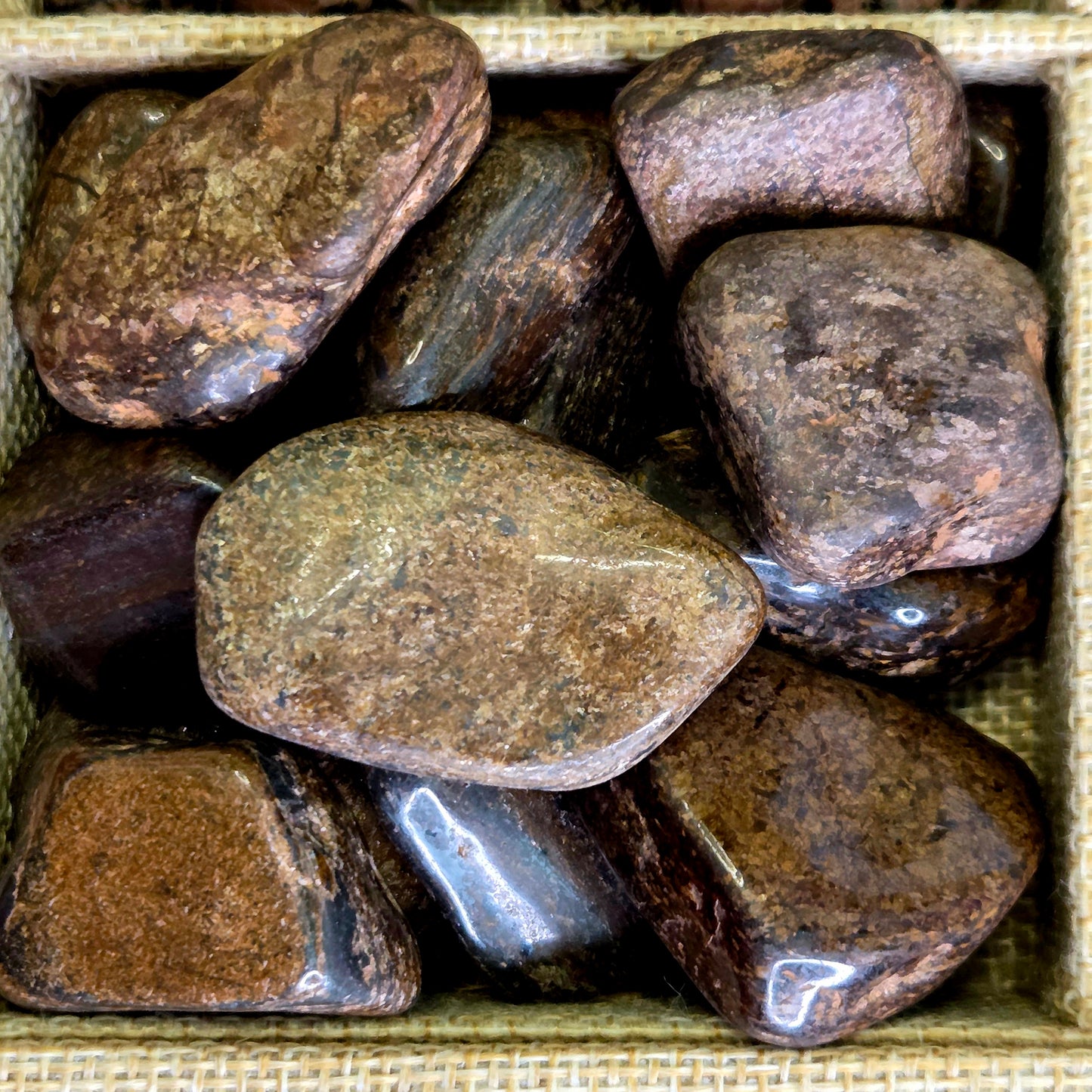 Rodado Broncita