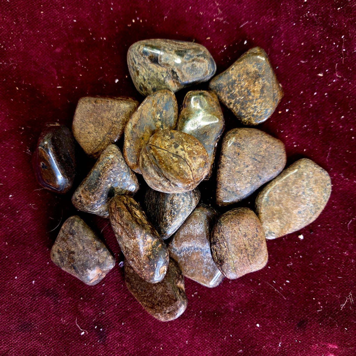 Rodado Broncita