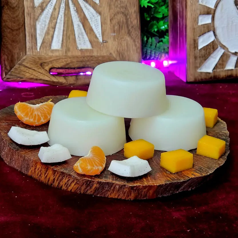 Acondicionador Sólido Natural Cabello Seco - Nutritivo / Hidratante / Suavizante