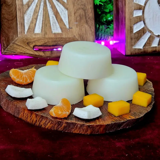 Acondicionador Sólido Natural Cabello Seco - Nutritivo / Hidratante / Suavizante
