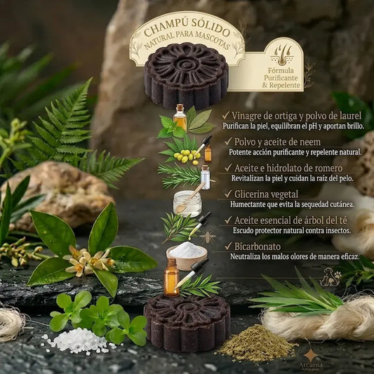 Champu Solido Natural Para Mascotas Ortiga Romero Neem Arbol del Te hecho a mano arcania artesania