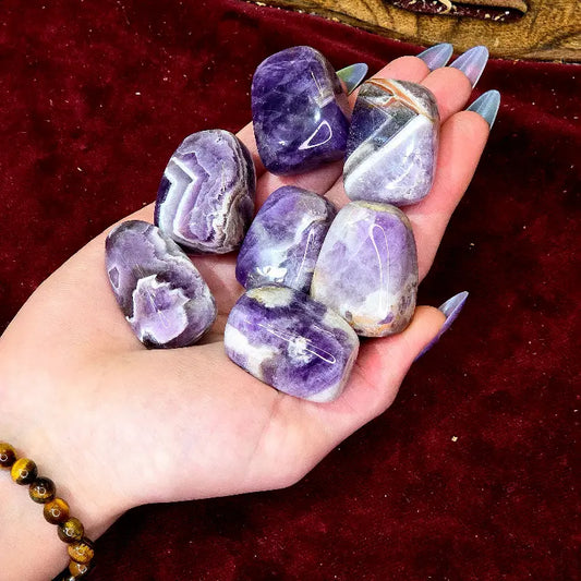 Encuentra la paz interior con nuestro Rodado de Amatista Natural. Conocida como la piedra de la armonía y vinculada al sexto chakra, ayuda a calmar los pensamientos, propicia la conexión intuitiva, favorece el buen dormir y aporta entereza ante el estrés.