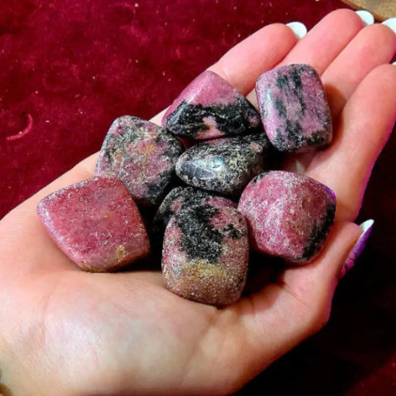 Sana tus vínculos y encuentra el equilibrio con nuestro Rodado de Rodonita Natural. Con su hermoso tono rosado y sus vetas oscuras, simboliza la compasión y la amistad, ayudando a resolver conflictos, superar estados de codependencia y limpiar las heridas del pasado.