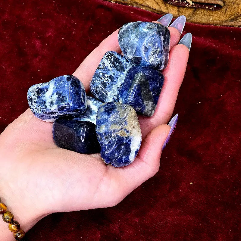 Conecta con tu voz interior con nuestro Rodado de Sodalita Natural. Con su cautivador color azul y sus destellos blancos, es el símbolo definitivo de calma y autoexploración, ideal para abrir el tercer ojo, armonizar la expresión y encontrar paz mental.