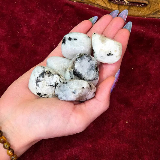 Encuentra la claridad emocional con nuestro Rodado de Piedra Luna Natural. Con sus tonos iridiscentes y su suave energía reconfortante, es el amuleto perfecto para fomentar la intuición, el equilibrio y la conexión con la energía femenina a lo largo del tiempo.