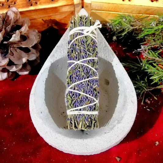 El aroma de Lavanda es el bálsamo de paz por excelencia para el cuerpo, la mente y el espíritu. Con sus notas florales, frescas y limpias, esta esencia es mundialmente reconocida por su capacidad para disolver la tensión en cuestión de segundos. Es el aliado perfecto para transformar tu hogar en un oasis de serenidad absoluta, descargando las malas vibraciones cotidianas y restaurando el equilibrio donde más lo necesitas. 