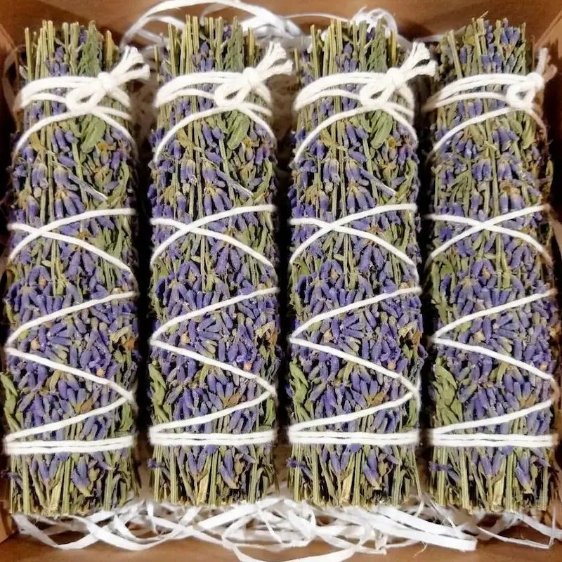 El aroma de Lavanda es el bálsamo de paz por excelencia para el cuerpo, la mente y el espíritu. Con sus notas florales, frescas y limpias, esta esencia es mundialmente reconocida por su capacidad para disolver la tensión en cuestión de segundos. Es el aliado perfecto para transformar tu hogar en un oasis de serenidad absoluta, descargando las malas vibraciones cotidianas y restaurando el equilibrio donde más lo necesitas. 