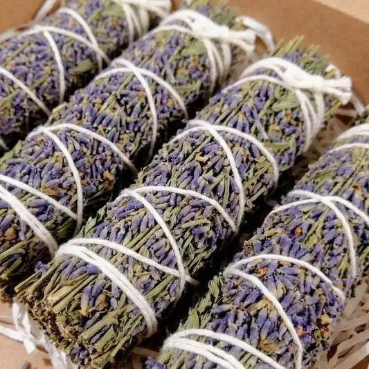 El aroma de Lavanda es el bálsamo de paz por excelencia para el cuerpo, la mente y el espíritu. Con sus notas florales, frescas y limpias, esta esencia es mundialmente reconocida por su capacidad para disolver la tensión en cuestión de segundos. Es el aliado perfecto para transformar tu hogar en un oasis de serenidad absoluta, descargando las malas vibraciones cotidianas y restaurando el equilibrio donde más lo necesitas. 