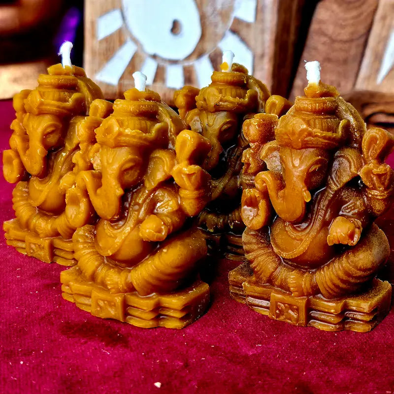 Invoca al gran removedor de obstáculos en las fechas clave de manifestación para abrir los caminos hacia el éxito y la dulce abundancia. Potencia tus rituales con nuestras Velas de Ganesha de Miel y Cera de Abeja. Creadas artesanalmente para ser encendidas los días 11 y 22, combinan la energía de Ganesha con la pureza de la cera de abeja para despejar tus metas, calmar la mente y atraer la fortuna.
